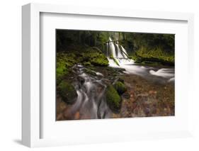 USA, Washington State, Lower Panther Creek Falls. Waterfall and stream.-Jaynes Gallery-Framed Photographic Print