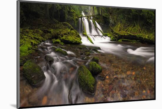 USA, Washington State, Lower Panther Creek Falls. Waterfall and stream.-Jaynes Gallery-Mounted Photographic Print