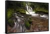 USA, Washington State, Lower Panther Creek Falls. Waterfall and stream.-Jaynes Gallery-Framed Stretched Canvas