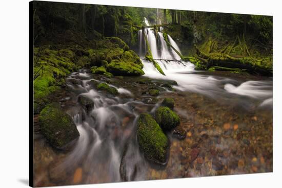 USA, Washington State, Lower Panther Creek Falls. Waterfall and stream.-Jaynes Gallery-Stretched Canvas