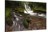 USA, Washington State, Lower Panther Creek Falls. Waterfall and stream.-Jaynes Gallery-Stretched Canvas