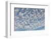 USA, Washington State. Mackerel sky makes compelling patterns in bright blue sky-Trish Drury-Framed Photographic Print