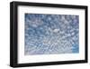 USA, Washington State. Mackerel sky makes compelling patterns in bright blue sky-Trish Drury-Framed Photographic Print