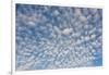 USA, Washington State. Mackerel sky makes compelling patterns in bright blue sky-Trish Drury-Framed Photographic Print