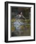 USA, Washington State. Male Wood Duck (Aix sponsa) flying from Union Bay in Seattle.-Gary Luhm-Framed Photographic Print