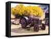 USA, Washington State, Molson, Okanogan County. Rusty old tractor in the historic ghost town.-Julie Eggers-Framed Stretched Canvas