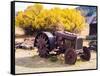 USA, Washington State, Molson, Okanogan County. Rusty old tractor in the historic ghost town.-Julie Eggers-Framed Stretched Canvas