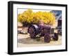 USA, Washington State, Molson, Okanogan County. Rusty old tractor in the historic ghost town.-Julie Eggers-Framed Photographic Print