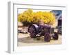 USA, Washington State, Molson, Okanogan County. Rusty old tractor in the historic ghost town.-Julie Eggers-Framed Photographic Print