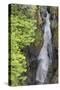 USA, Washington State. Mount Rainier National Park, Cowlitz River in Box Canyon-Jamie & Judy Wild-Stretched Canvas