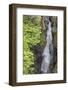 USA, Washington State. Mount Rainier National Park, Cowlitz River in Box Canyon-Jamie & Judy Wild-Framed Photographic Print