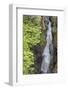 USA, Washington State. Mount Rainier National Park, Cowlitz River in Box Canyon-Jamie & Judy Wild-Framed Photographic Print