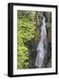 USA, Washington State. Mount Rainier National Park, Cowlitz River in Box Canyon-Jamie & Judy Wild-Framed Photographic Print