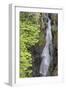 USA, Washington State. Mount Rainier National Park, Cowlitz River in Box Canyon-Jamie & Judy Wild-Framed Photographic Print