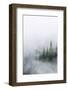 USA, Washington State. Mount Rainier National Park, Fir Trees in Clouds-Jamie & Judy Wild-Framed Photographic Print