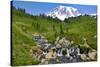 USA, Washington State, Mount Rainier National Park. Mount Rainier and Edith Creek cascade.-Jaynes Gallery-Stretched Canvas