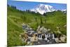 USA, Washington State, Mount Rainier National Park. Mount Rainier and Edith Creek cascade.-Jaynes Gallery-Mounted Photographic Print