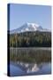 USA, Washington State. Mount Rainier National Park, Mount Rainier from Reflections Lake-Jamie & Judy Wild-Stretched Canvas