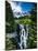USA, Washington State, Mount Rainier National Park, Mount Rainier, waterfall-George Theodore-Mounted Photographic Print