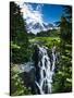 USA, Washington State, Mount Rainier National Park, Mount Rainier, waterfall-George Theodore-Stretched Canvas