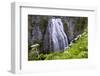 USA, Washington State. Mount Rainier National Park, Narada Falls-Jamie & Judy Wild-Framed Photographic Print