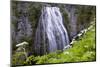 USA, Washington State. Mount Rainier National Park, Narada Falls-Jamie & Judy Wild-Mounted Photographic Print