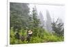 USA, Washington State, Mount Rainier National Park. Sooty grouse in subalpine forest.-Yuri Choufour-Framed Photographic Print