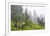 USA, Washington State, Mount Rainier National Park. Sooty grouse in subalpine forest.-Yuri Choufour-Framed Photographic Print