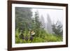 USA, Washington State, Mount Rainier National Park. Sooty grouse in subalpine forest.-Yuri Choufour-Framed Photographic Print