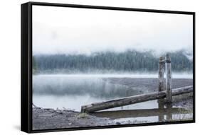 USA, Washington State, Mt. Baker Snoqualmie National Forest. Morning fog Horseshoe Cove Campground -Trish Drury-Framed Stretched Canvas