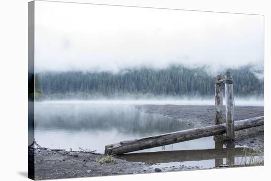 USA, Washington State, Mt. Baker Snoqualmie National Forest. Morning fog Horseshoe Cove Campground -Trish Drury-Stretched Canvas