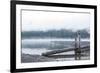 USA, Washington State, Mt. Baker Snoqualmie National Forest. Morning fog Horseshoe Cove Campground -Trish Drury-Framed Photographic Print