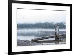 USA, Washington State, Mt. Baker Snoqualmie National Forest. Morning fog Horseshoe Cove Campground -Trish Drury-Framed Photographic Print