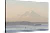 USA, Washington State. Mt. Rainier in morning light. Calm Puget Sound ferry crossing-Trish Drury-Stretched Canvas