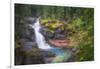 USA, Washington State, Mt. Rainier National Park. Silver Falls on the Ohanapecosh River.-Christopher Reed-Framed Photographic Print