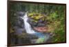 USA, Washington State, Mt. Rainier National Park. Silver Falls on the Ohanapecosh River.-Christopher Reed-Framed Photographic Print