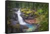 USA, Washington State, Mt. Rainier National Park. Silver Falls on the Ohanapecosh River.-Christopher Reed-Framed Stretched Canvas