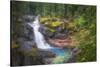 USA, Washington State, Mt. Rainier National Park. Silver Falls on the Ohanapecosh River.-Christopher Reed-Stretched Canvas