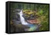 USA, Washington State, Mt. Rainier National Park. Silver Falls on the Ohanapecosh River.-Christopher Reed-Framed Stretched Canvas