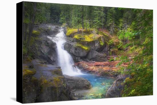 USA, Washington State, Mt. Rainier National Park. Silver Falls on the Ohanapecosh River.-Christopher Reed-Stretched Canvas