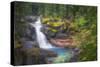 USA, Washington State, Mt. Rainier National Park. Silver Falls on the Ohanapecosh River.-Christopher Reed-Stretched Canvas