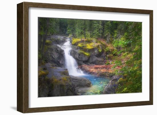 USA, Washington State, Mt. Rainier National Park. Silver Falls on the Ohanapecosh River.-Christopher Reed-Framed Photographic Print