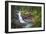 USA, Washington State, Mt. Rainier National Park. Silver Falls on the Ohanapecosh River.-Christopher Reed-Framed Photographic Print