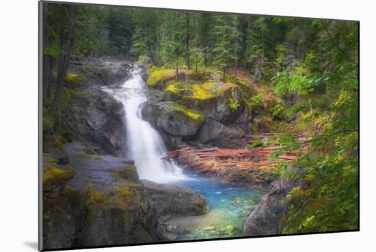 USA, Washington State, Mt. Rainier National Park. Silver Falls on the Ohanapecosh River.-Christopher Reed-Mounted Photographic Print