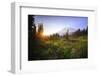 USA, Washington State, Mt Rainier NP. Sunset on mountain wildflowers.-Jaynes Gallery-Framed Photographic Print