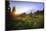 USA, Washington State, Mt Rainier NP. Sunset on mountain wildflowers.-Jaynes Gallery-Mounted Photographic Print