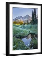 USA. Washington State. Mt. Rainier reflected in tarn amid wildflowers, Mt. Rainier National Park.-Gary Luhm-Framed Photographic Print