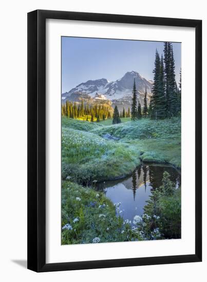 USA. Washington State. Mt. Rainier reflected in tarn amid wildflowers, Mt. Rainier National Park.-Gary Luhm-Framed Photographic Print