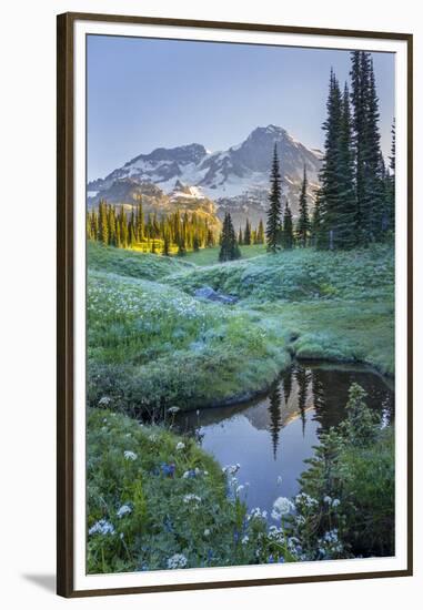 USA. Washington State. Mt. Rainier reflected in tarn amid wildflowers, Mt. Rainier National Park.-Gary Luhm-Framed Premium Photographic Print