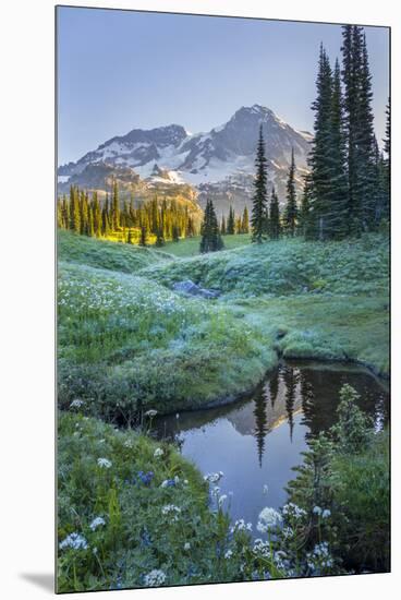 USA. Washington State. Mt. Rainier reflected in tarn amid wildflowers, Mt. Rainier National Park.-Gary Luhm-Mounted Premium Photographic Print